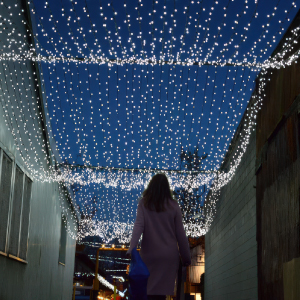 GI_Holiday25_Website_Static_25OCT31_Spirit-Of-Wonder_300x300_V1